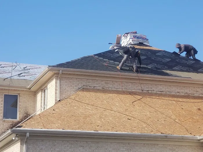 Roofs Fast Picture 7