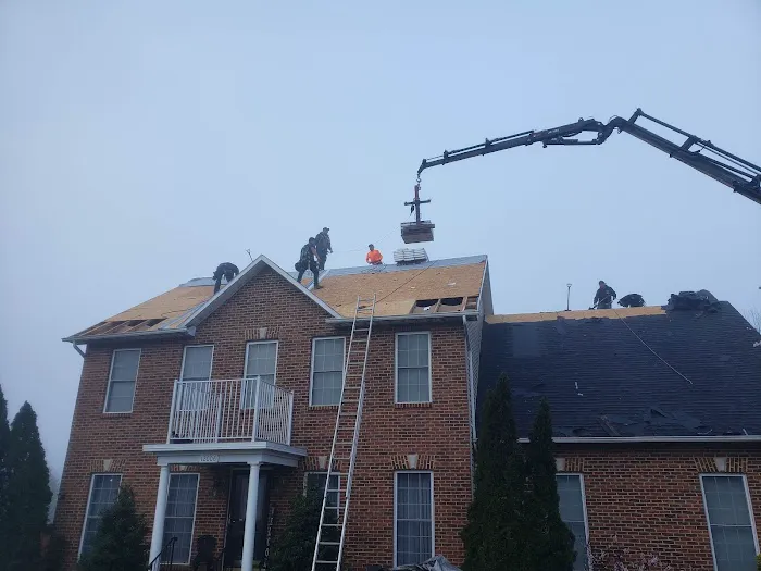 Roofs Fast Picture 1