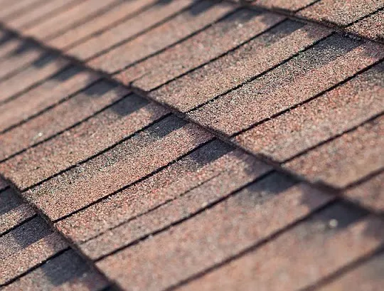 WT Morano Contracting, LLC Picture 5