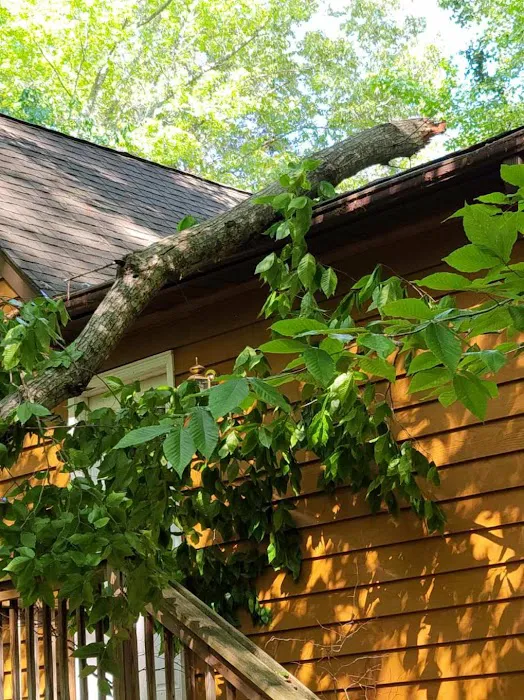 Crown Roofing & Gutter Co. Picture 6