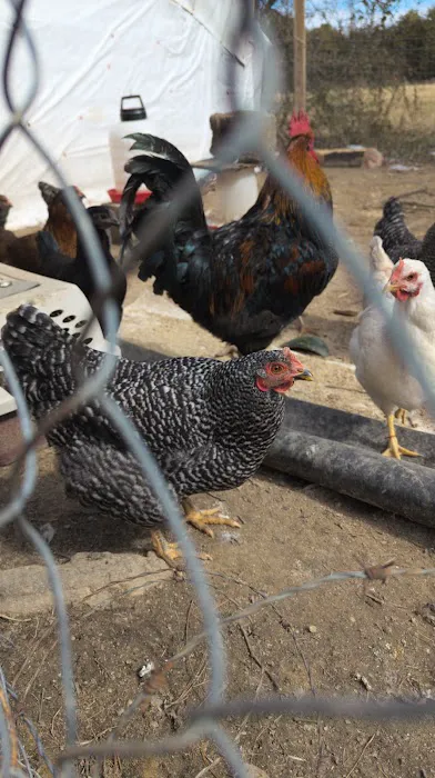 V& L Roofing LLC Picture 6