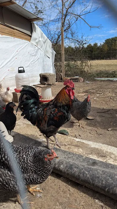 V& L Roofing LLC Picture 3