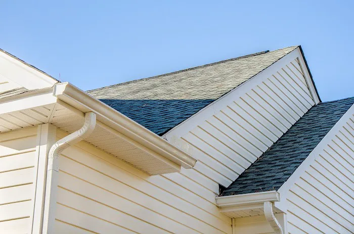 Balducci Exteriors Picture 1