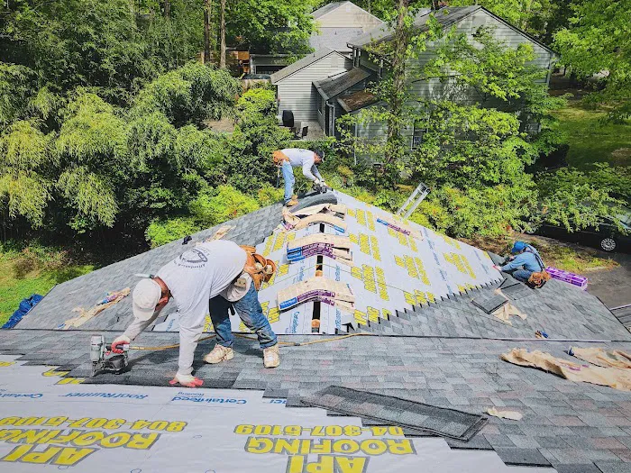 API Roofing Picture 5