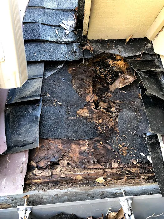 RiverWolf Home Services LLC Picture 2