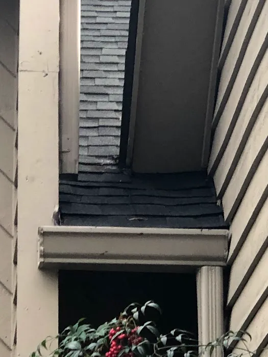 RiverWolf Home Services LLC Picture 6