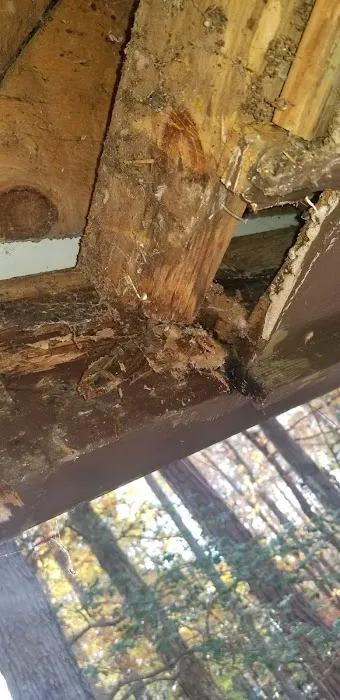 Exterior Source of Central Virginia Picture 3