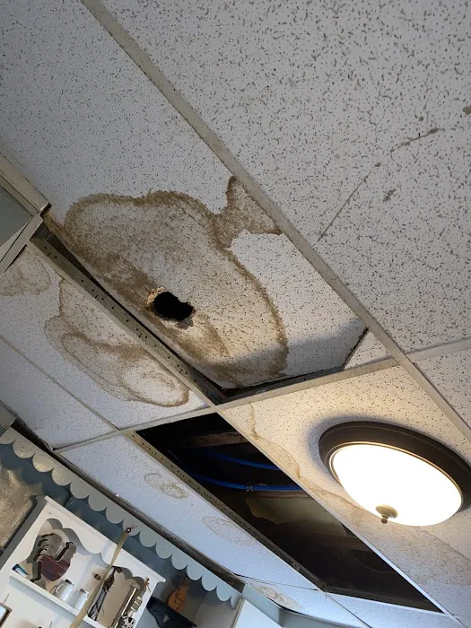 Team Volocko Picture 7