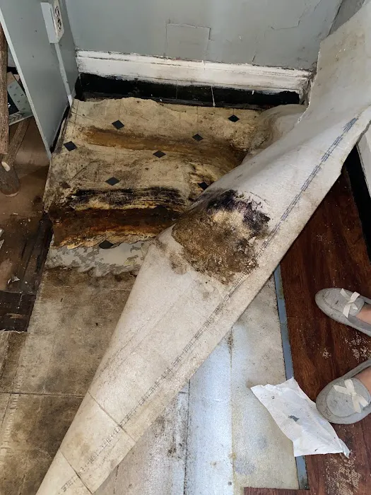 Team Volocko Picture 9