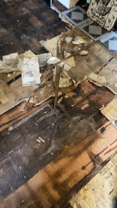 Team Volocko Picture 4