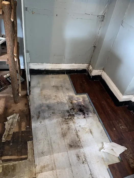 Team Volocko Picture 3