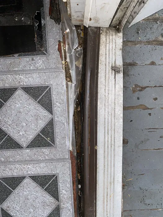 Team Volocko Picture 2