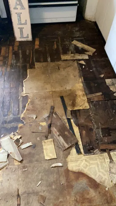 Team Volocko Picture 5