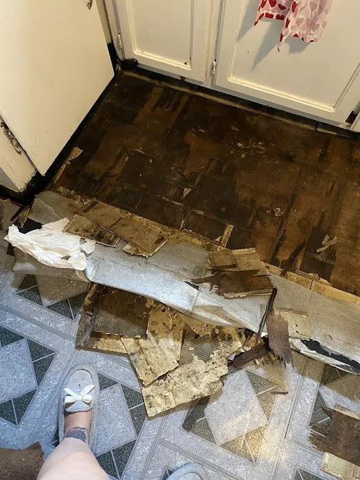 Team Volocko Picture 10