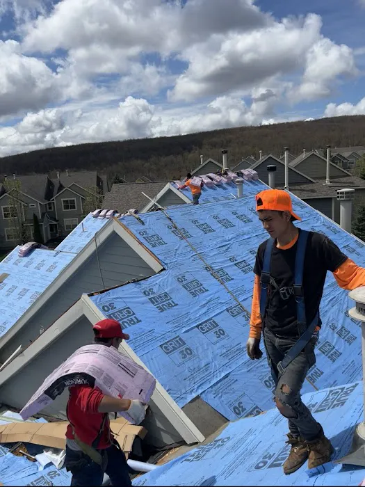 BG Roofing Picture 2