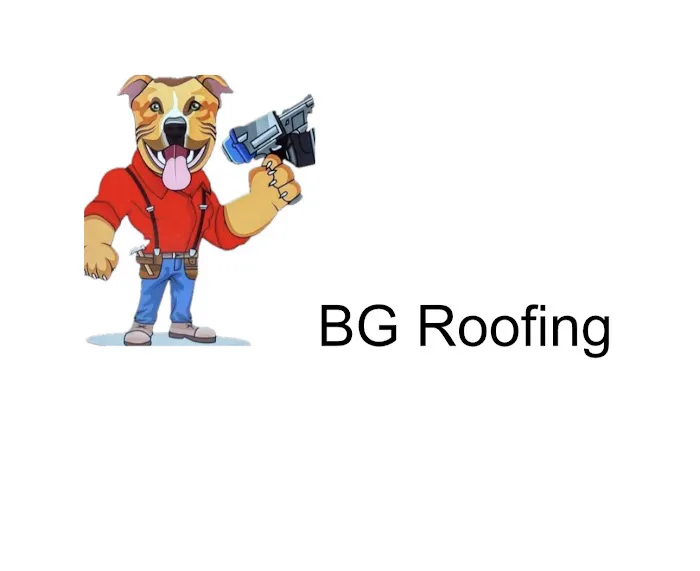 BG Roofing Picture 1