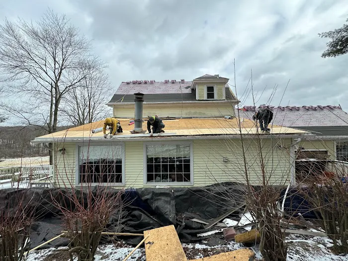 BG Roofing Picture 7