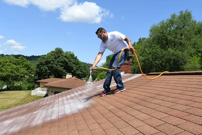 Roof Rejuv Install, LLC Picture 1