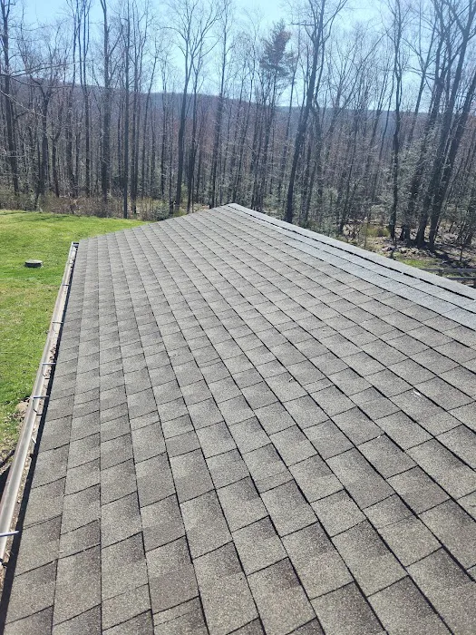 Professional Construction Solutions LLC Picture 7