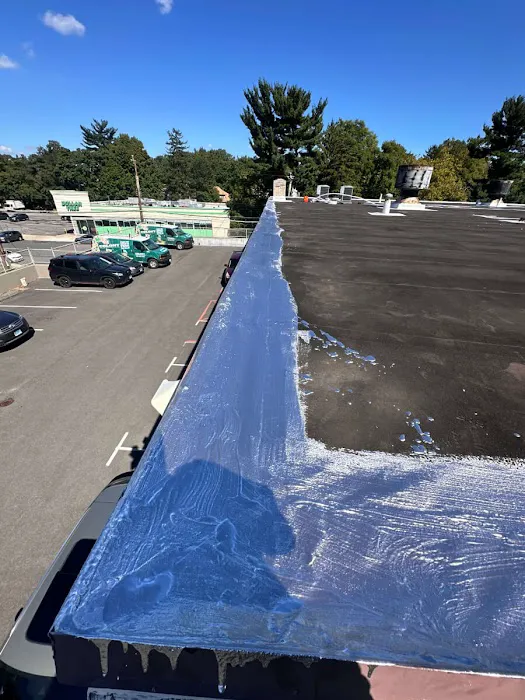Werner Commercial Roofing Picture 9