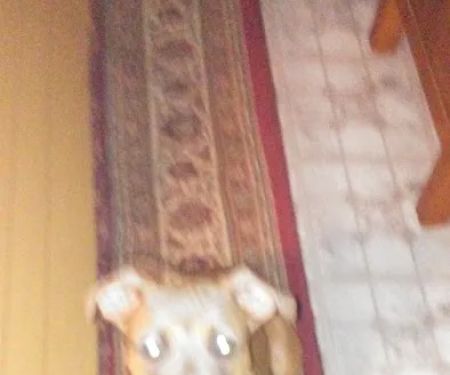 Alberts Specialty Roofing