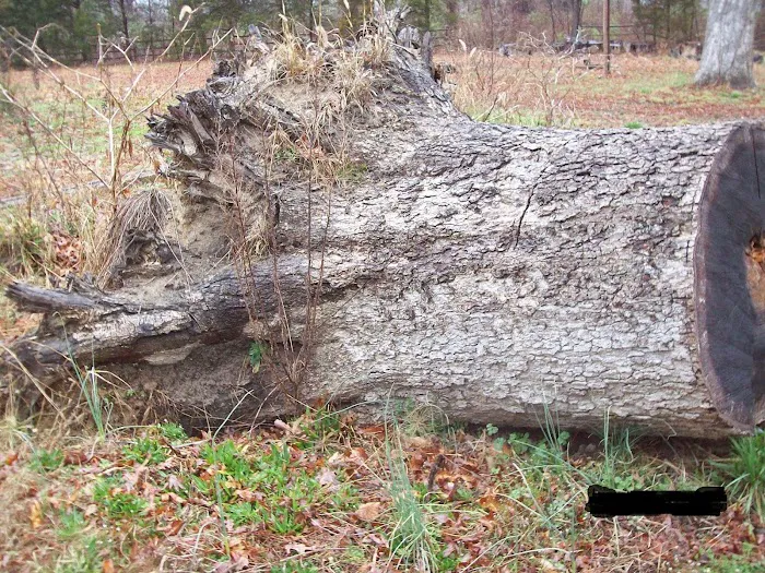 Dave's Handyman Services Picture 9