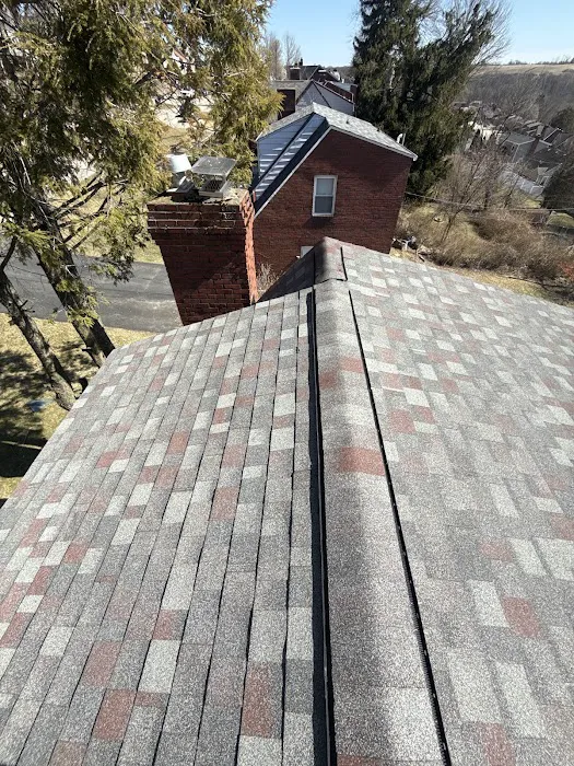 Nest Roofing & Gutters LLC Picture 1