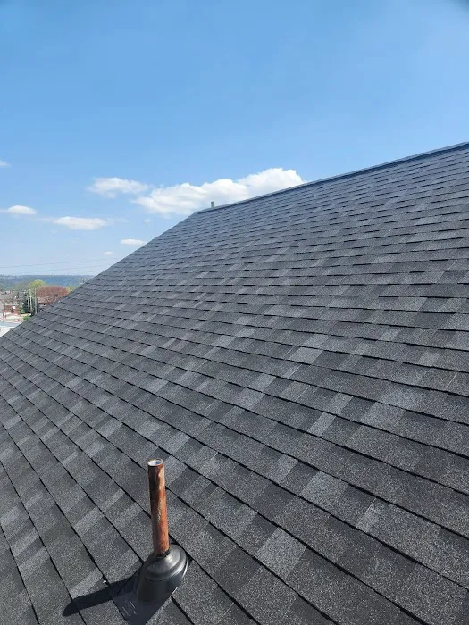 Lionheart Roofing Picture 4