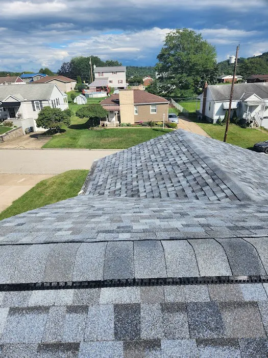 Lionheart Roofing Picture 6