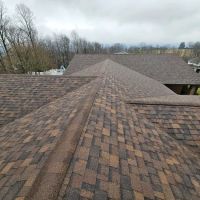 CJ's Roofing Vet Owned ico