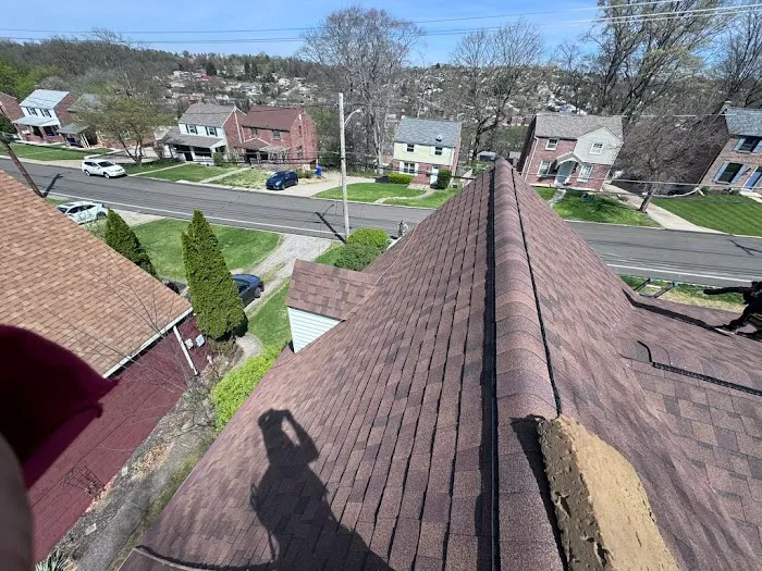 CJ's Roofing Vet Owned Picture 3