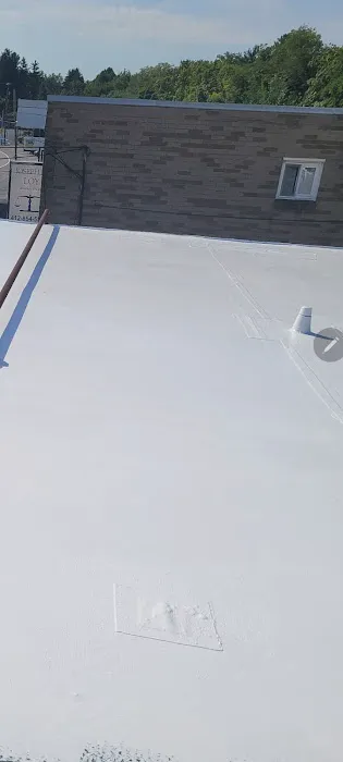 Lionheart Roofing Picture 7