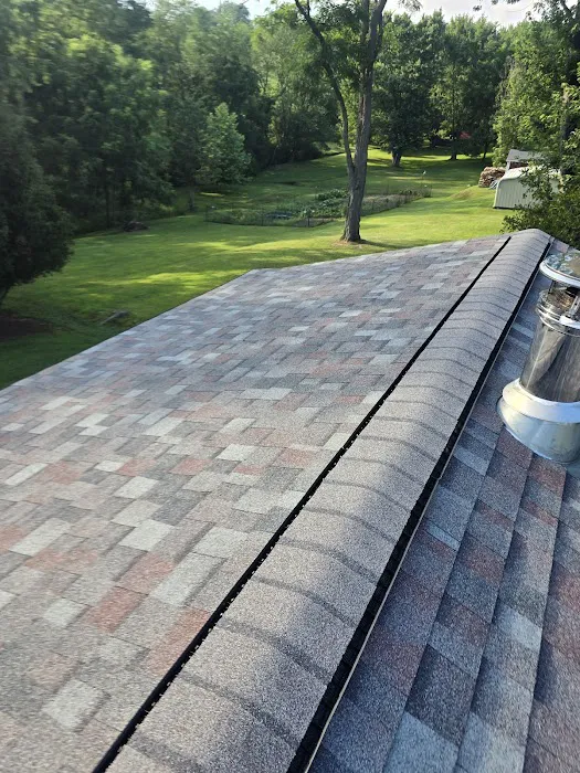 Lionheart Roofing Picture 3