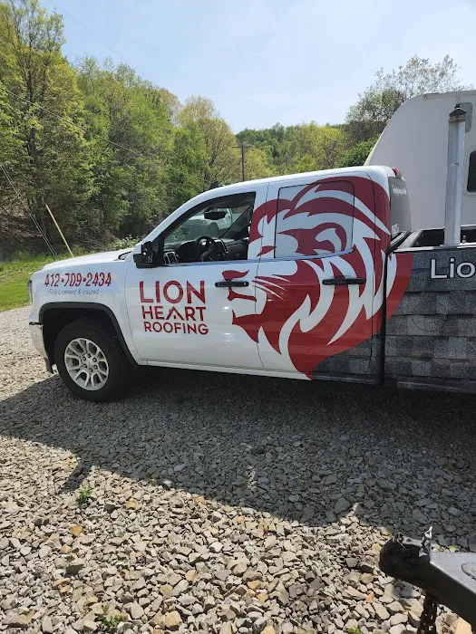 Lionheart Roofing Picture 4