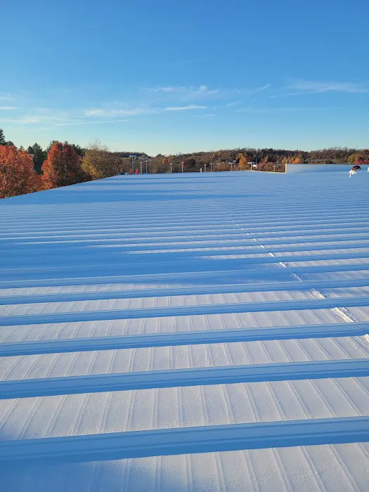 Lionheart Roofing Picture 8