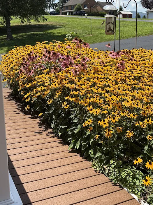 Holloway Roofing Picture 5