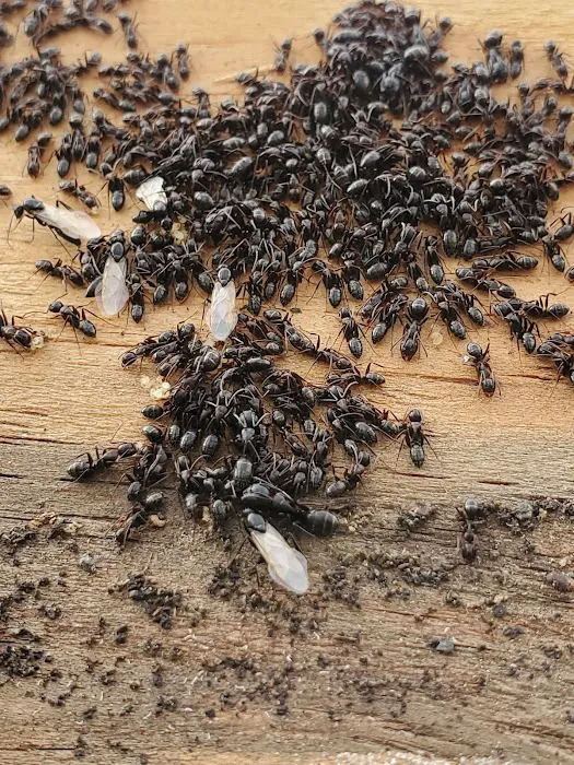 First Response Emergency Services Picture 1