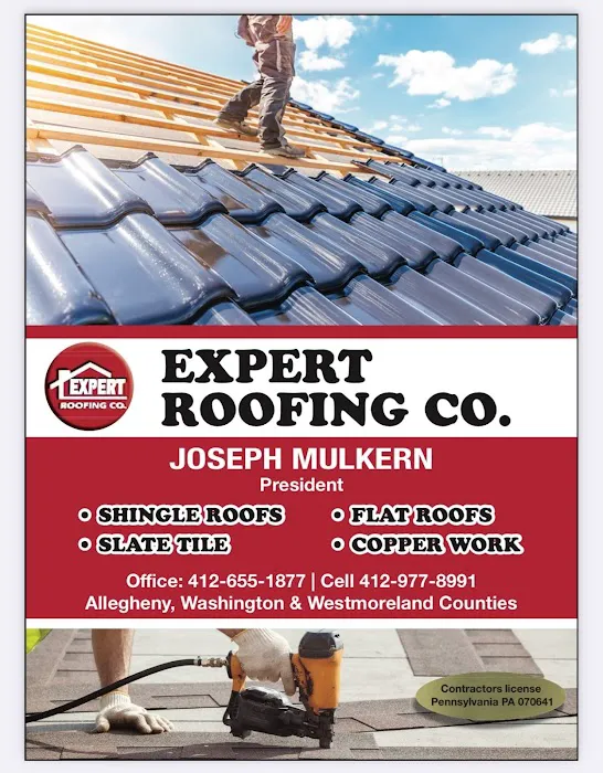 Expert Roofing Co Picture 3