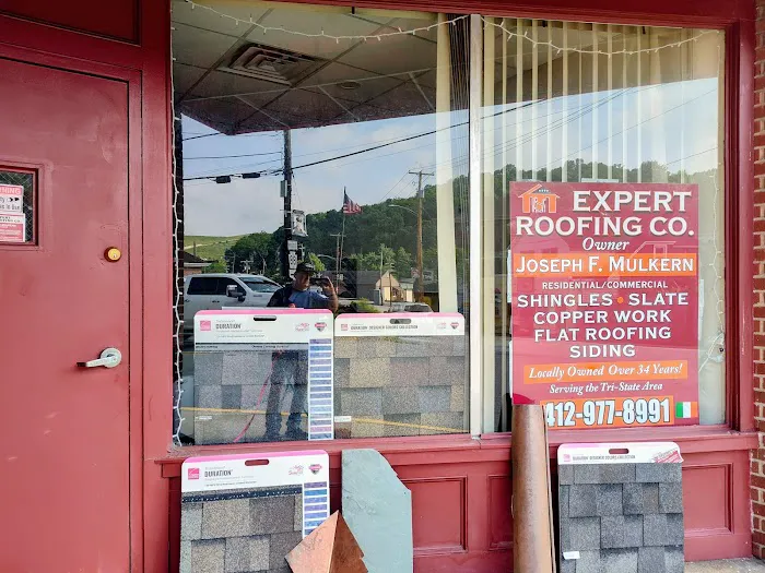 Expert Roofing Co Picture 7