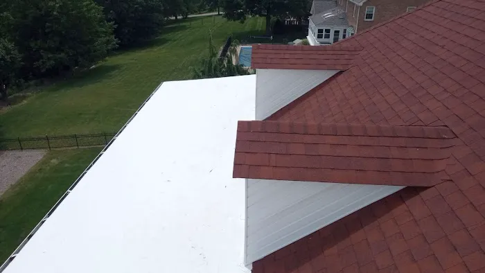 The VJ Crew Picture 3