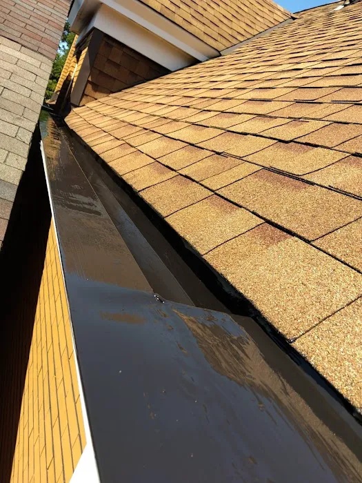 The VJ Crew Picture 6