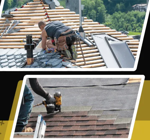 The VJ Crew Picture 9