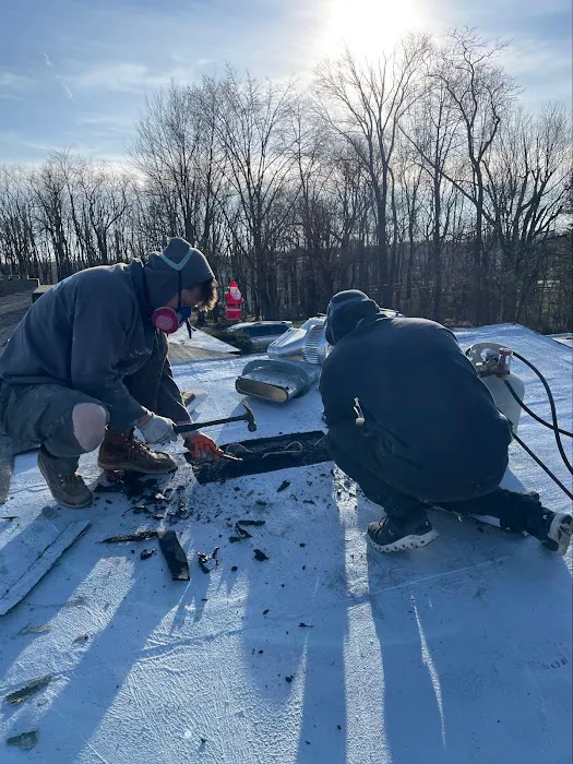 7 Siblings, LLC Picture 5