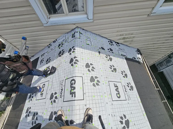 7 Siblings, LLC Picture 4