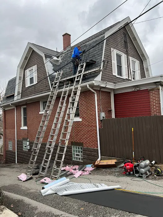 Mario Contracting Picture 6