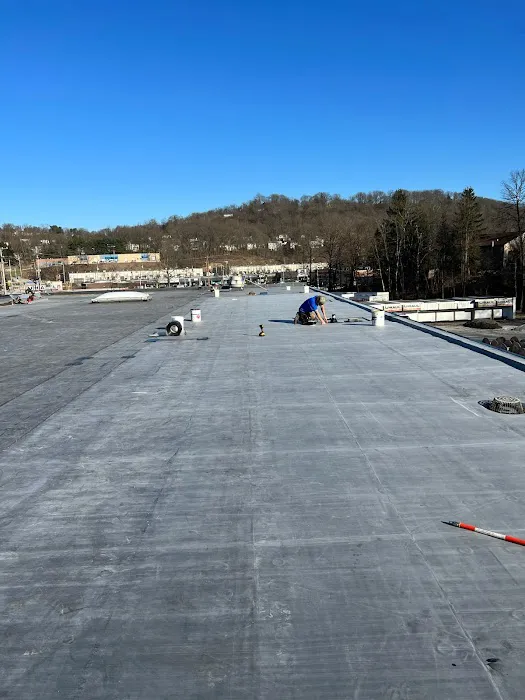 Mario Contracting Picture 10