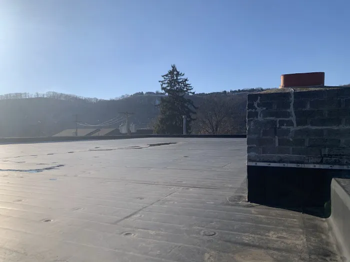 Mario Contracting Picture 9