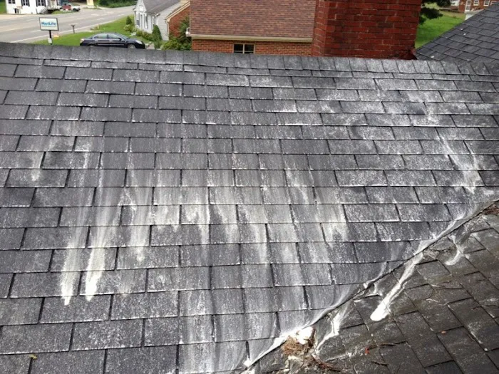 Ugly Roof Morgantown Picture 1