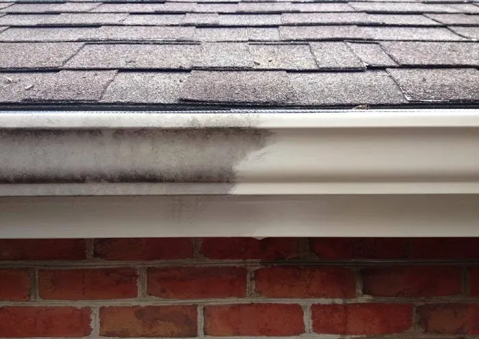 Ugly Roof Morgantown Picture 4