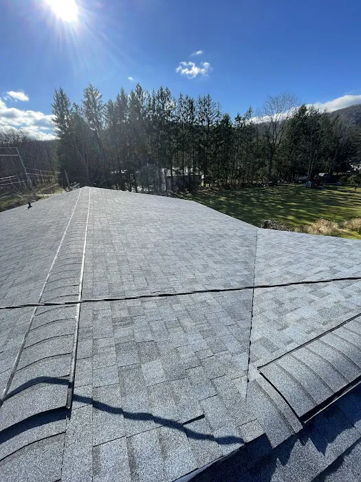 Appalachia Roofing Picture 6